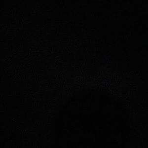 Meet your Posher, Daisy